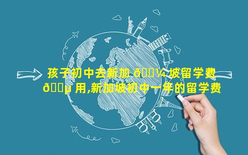 孩子初中去新加 🌼 坡留学费 🌵 用,新加坡初中一年的留学费用